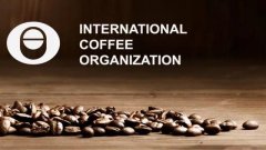 国际咖啡协会理事会首日内容汇总：非洲咖啡成为主题